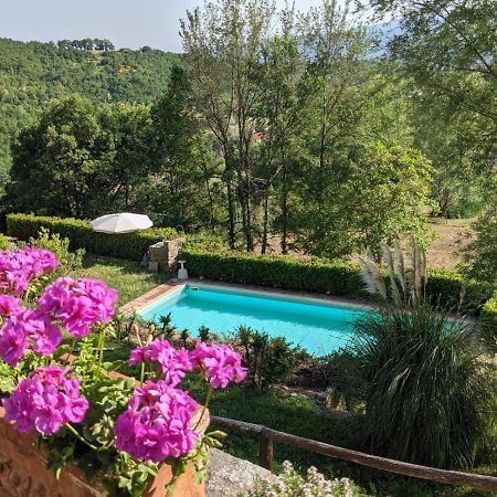 Agriturismo Casentino - Fattoria Ventrina Martina Eksteriør bilde