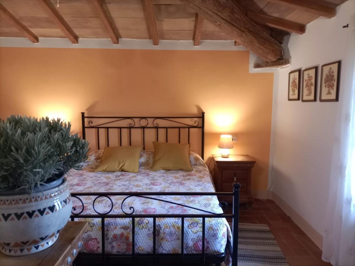 Agriturismo Casentino - Fattoria Ventrina Martina Eksteriør bilde