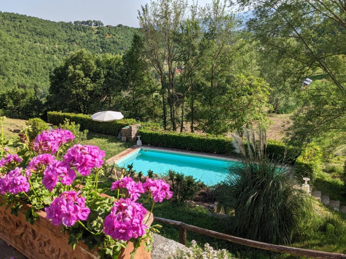 Agriturismo Casentino - Fattoria Ventrina Martina Eksteriør bilde