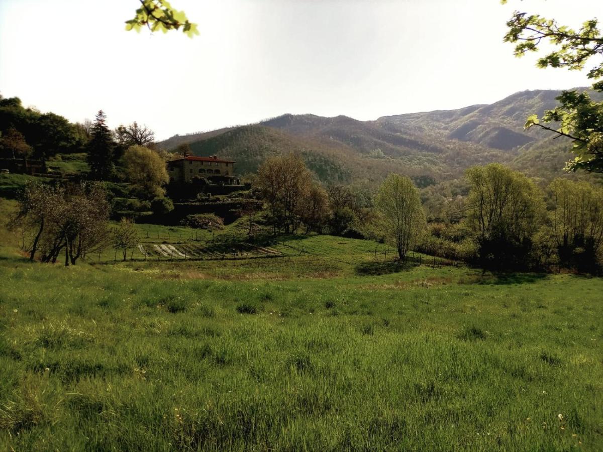Agriturismo Casentino - Fattoria Ventrina Martina Eksteriør bilde