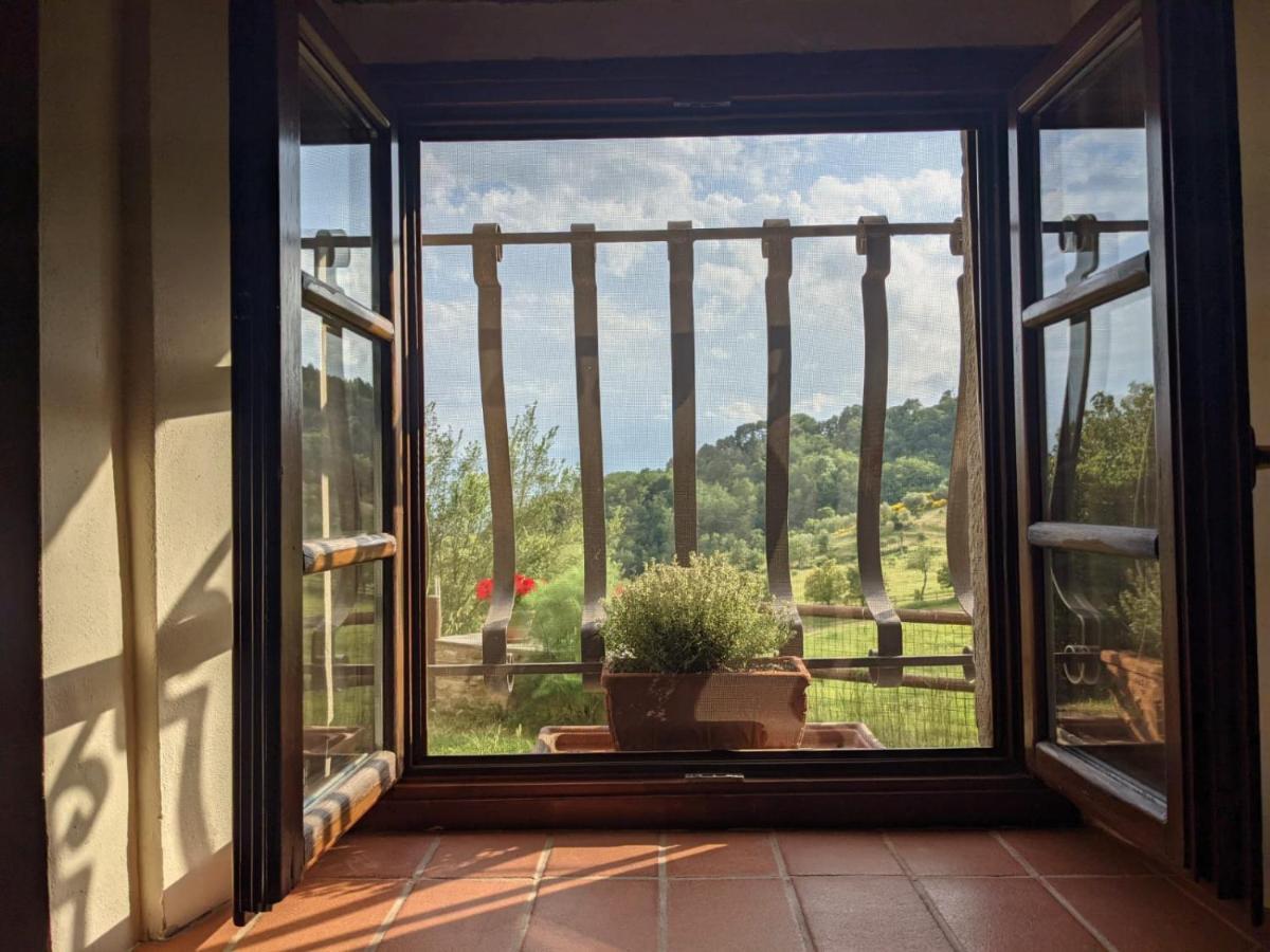 Agriturismo Casentino - Fattoria Ventrina Martina Eksteriør bilde