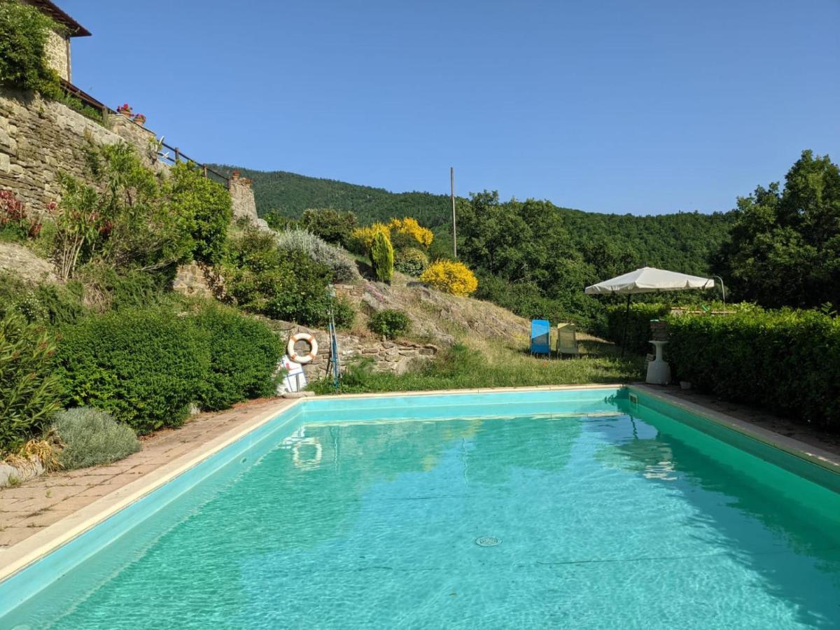Agriturismo Casentino - Fattoria Ventrina Martina Eksteriør bilde
