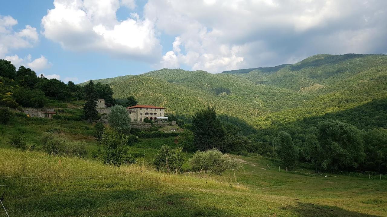 Agriturismo Casentino - Fattoria Ventrina Martina Eksteriør bilde