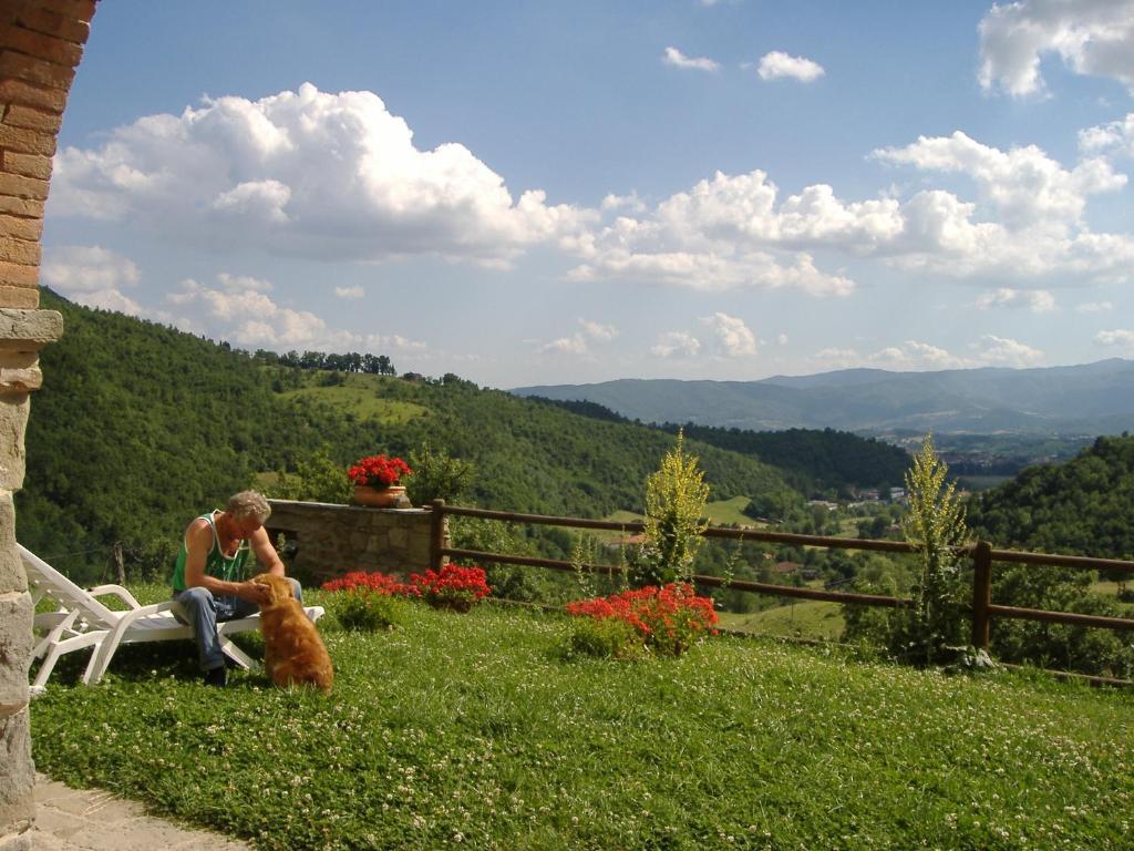 Agriturismo Casentino - Fattoria Ventrina Martina Eksteriør bilde